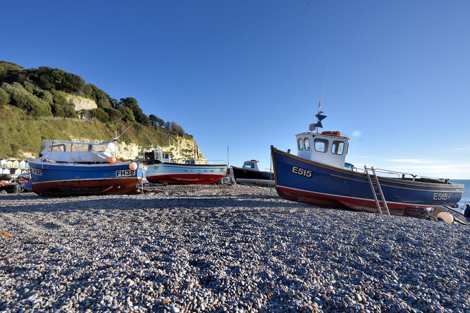Villa Seaweed Sidmouth Exterior foto