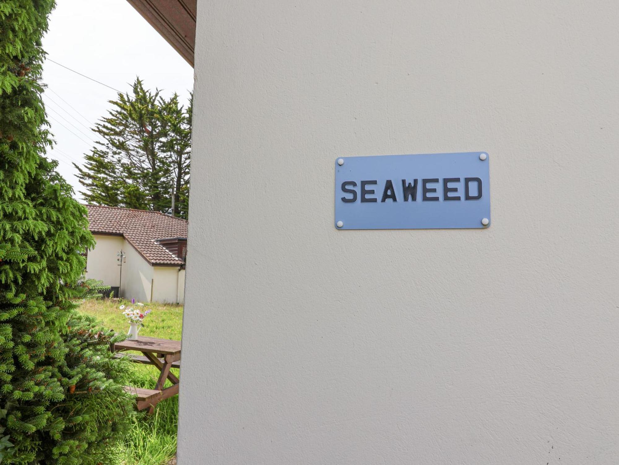 Villa Seaweed Sidmouth Exterior foto